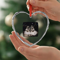 Funny Lesbian Raccoon Engagement Heart Crystal Glass Ornament LGBTQ Pride Gift