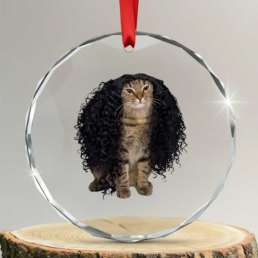 Funny Long Curly Hair Wig Cat Soccer Fans Crystal Glass Ornament Football Meme Sports Humor