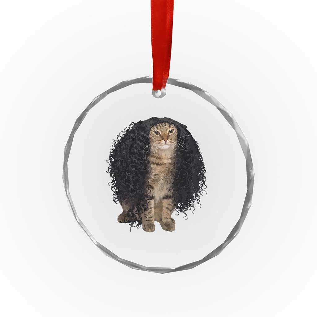 Funny Long Curly Hair Wig Cat Soccer Fans Crystal Glass Ornament Football Meme Sports Humor