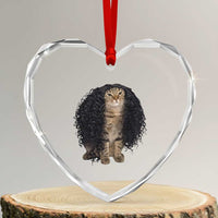 Funny Long Curly Hair Wig Cat Soccer Fans Heart Crystal Glass Ornament Football Meme Sports Humor