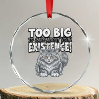 Funny Maine Coon Cat Crystal Glass Ornament Too Big To Care About Your Existence