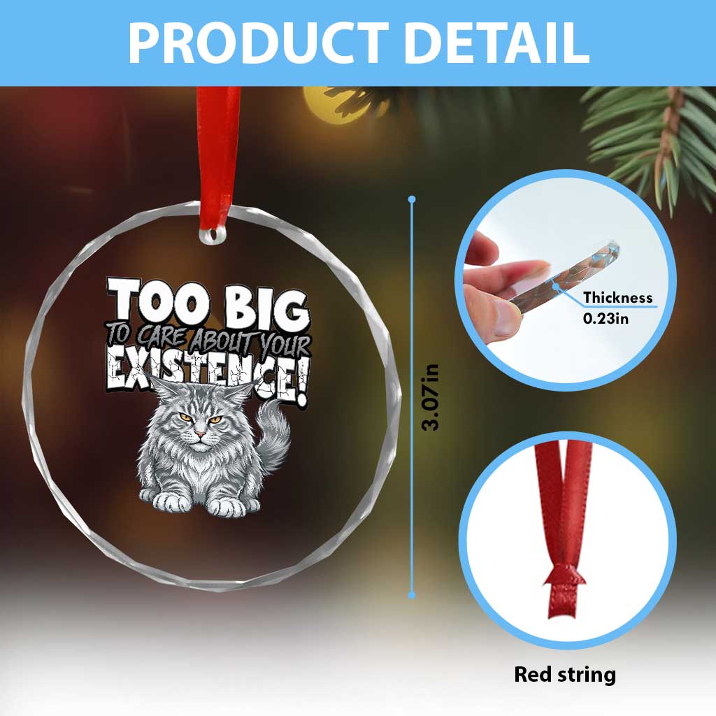 Funny Maine Coon Cat Crystal Glass Ornament Too Big To Care About Your Existence
