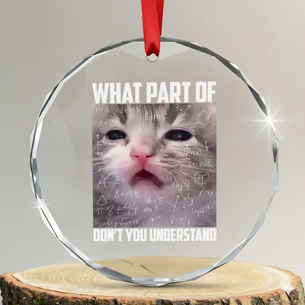 Funny Math Cat Lover Crystal Glass Ornament What Part Of Do Not You Understand - Wonder Print Shop