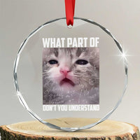 Funny Math Cat Lover Crystal Glass Ornament What Part Of Do Not You Understand - Wonder Print Shop