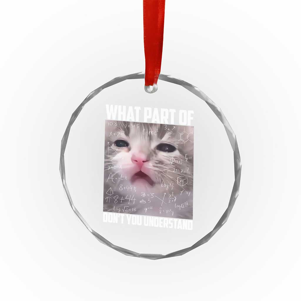 Funny Math Cat Lover Crystal Glass Ornament What Part Of Do Not You Understand - Wonder Print Shop