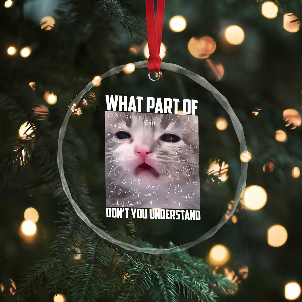 Funny Math Cat Lover Crystal Glass Ornament What Part Of Do Not You Understand - Wonder Print Shop