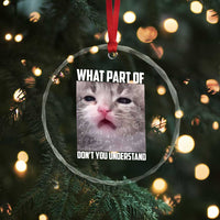 Funny Math Cat Lover Crystal Glass Ornament What Part Of Do Not You Understand - Wonder Print Shop