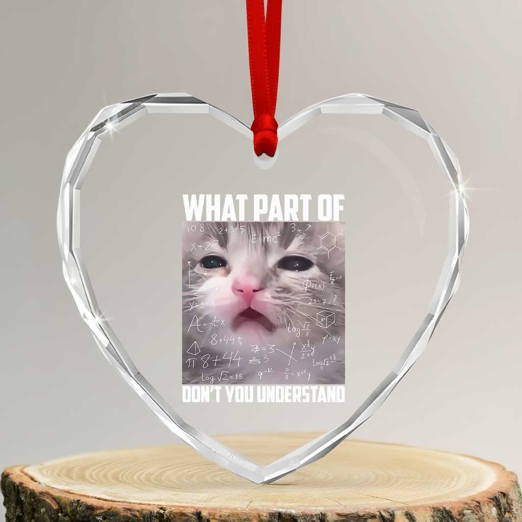 Funny Math Cat Lover Heart Crystal Glass Ornament What Part Of Do Not You Understand - Wonder Print Shop