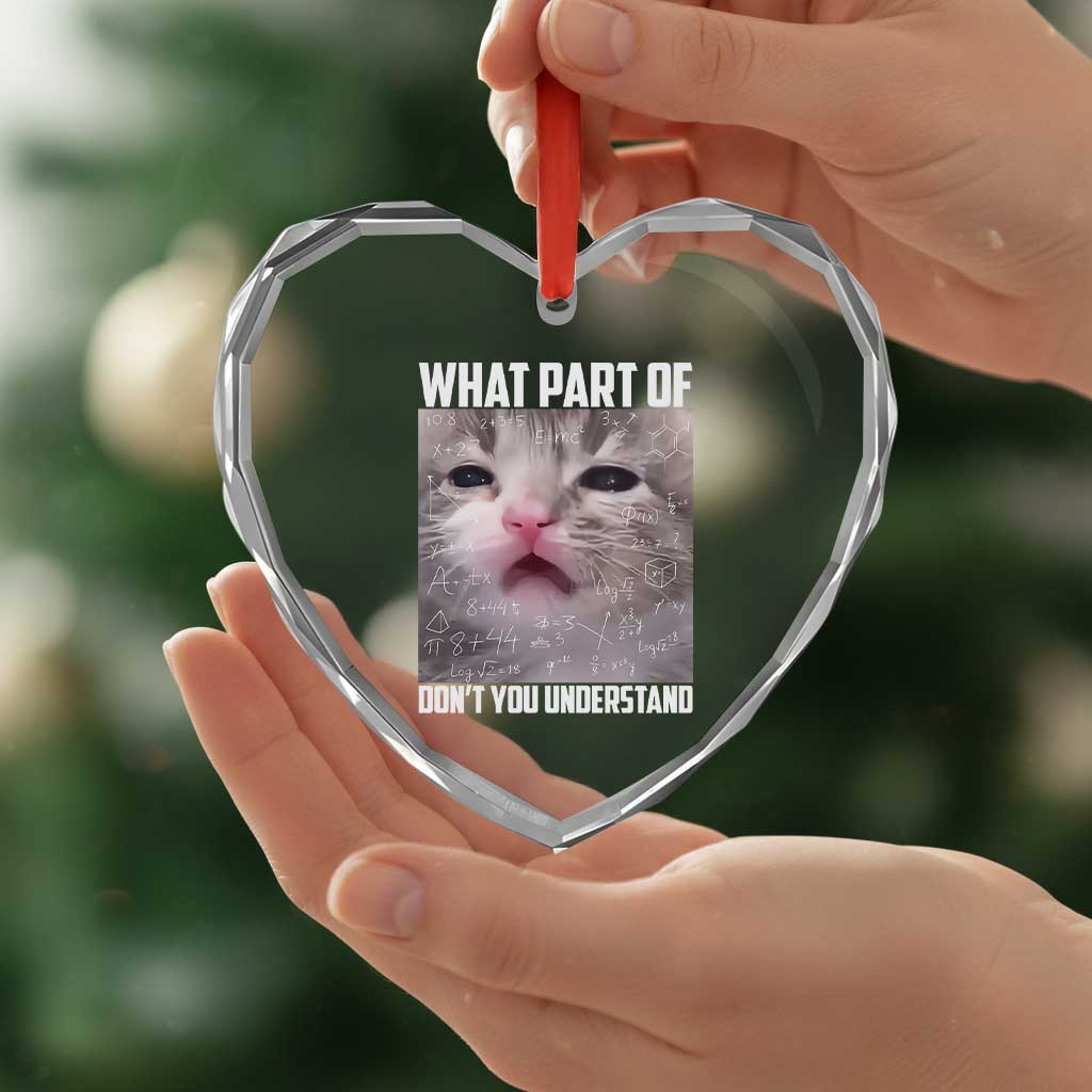 Funny Math Cat Lover Heart Crystal Glass Ornament What Part Of Do Not You Understand - Wonder Print Shop