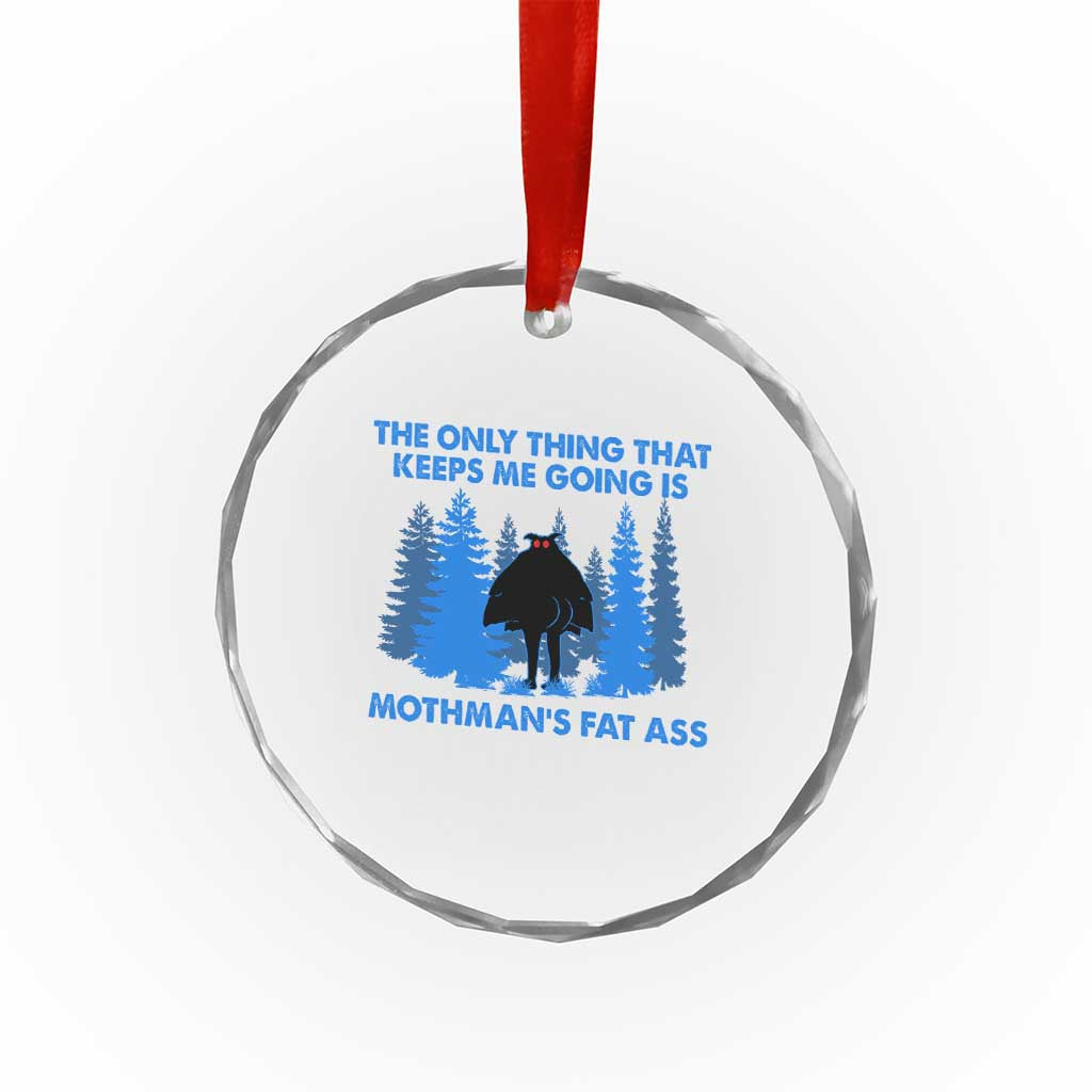 Funny Mothman Fat Ass Crystal Glass Ornament Vintage Cryptid Funny Moth Man Meme TS10