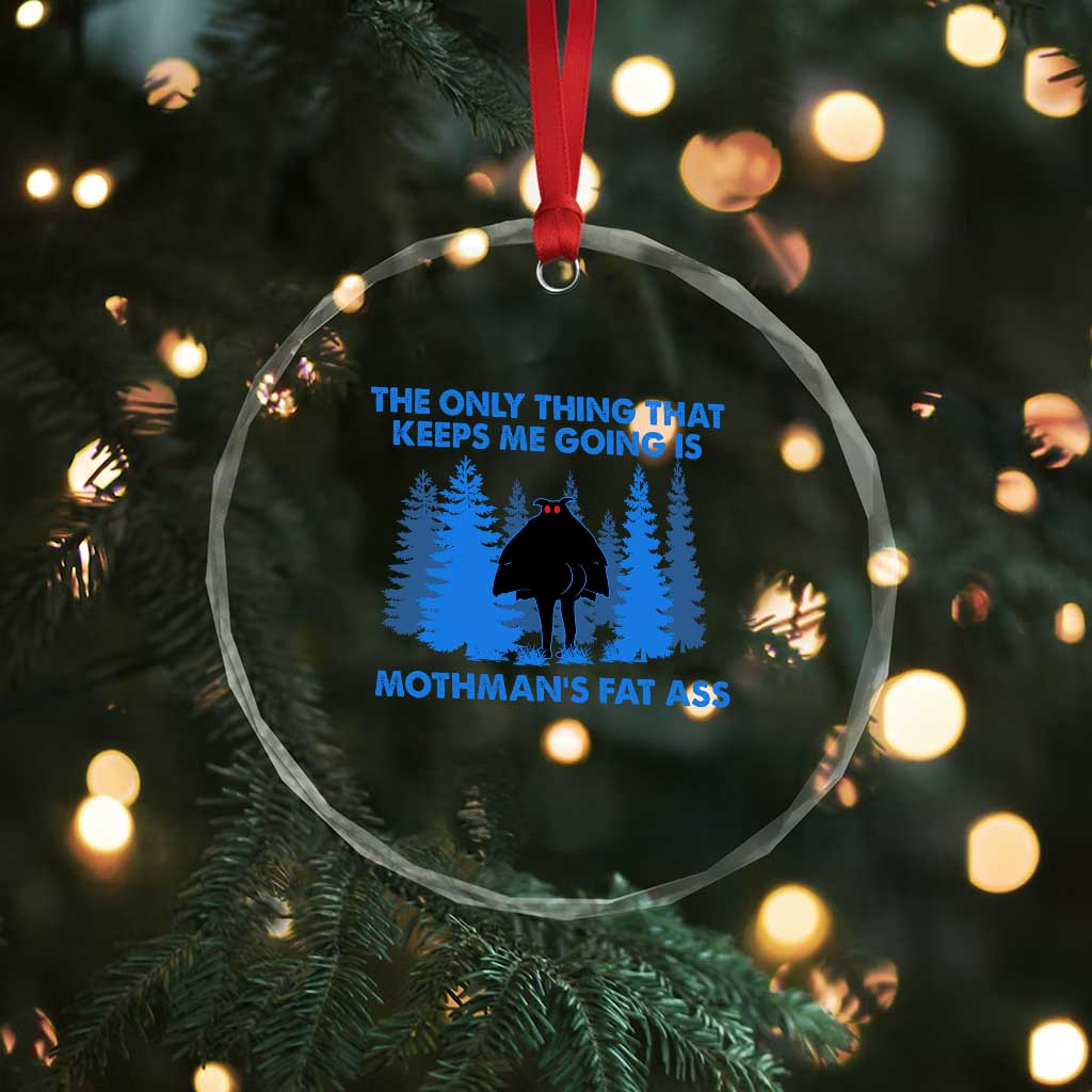 Funny Mothman Fat Ass Crystal Glass Ornament Vintage Cryptid Funny Moth Man Meme TS10