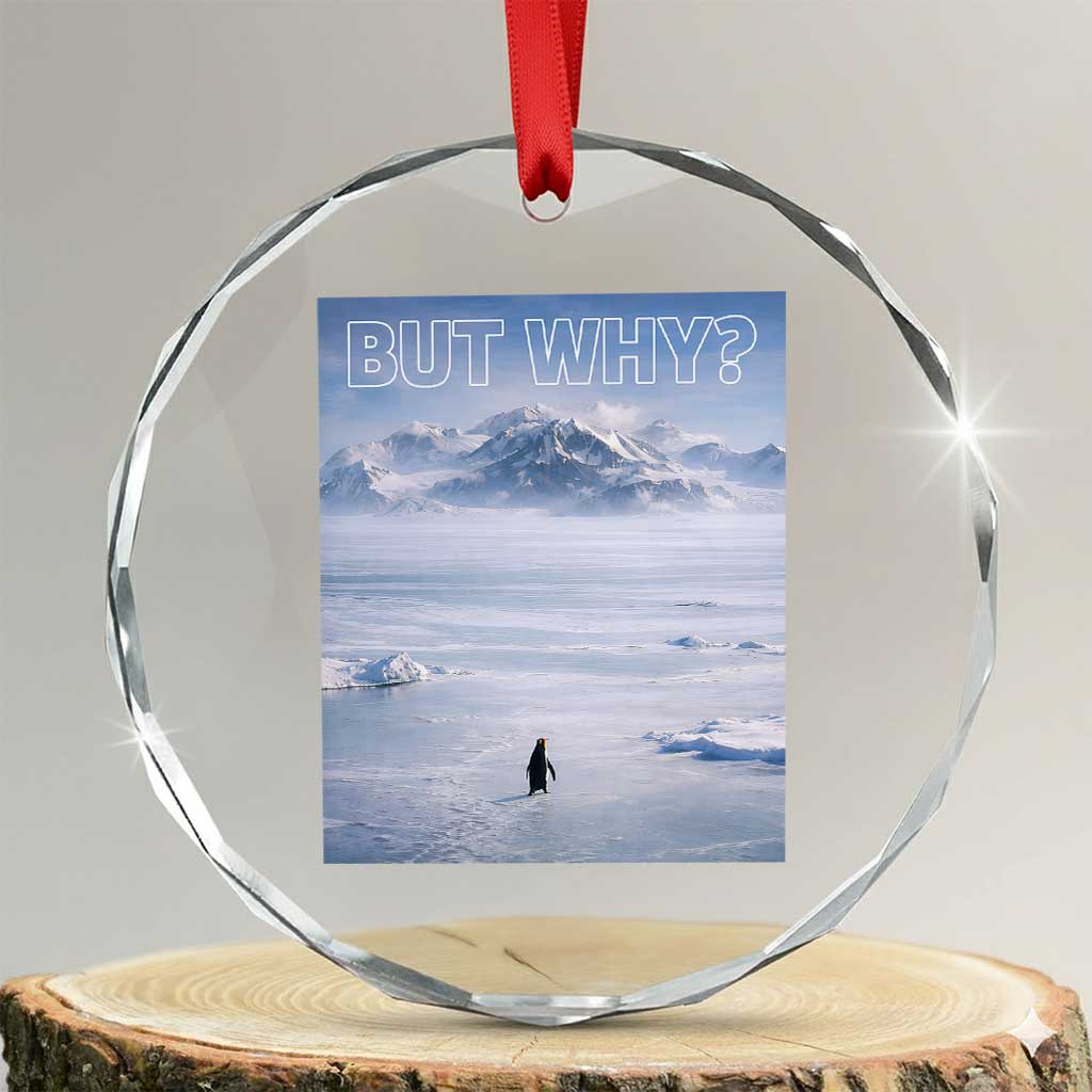 Funny Nihilist Penguin But Why Meme Crystal Glass Ornament Existential Arctic Scene Icy Wilderness Quiet Thinkers
