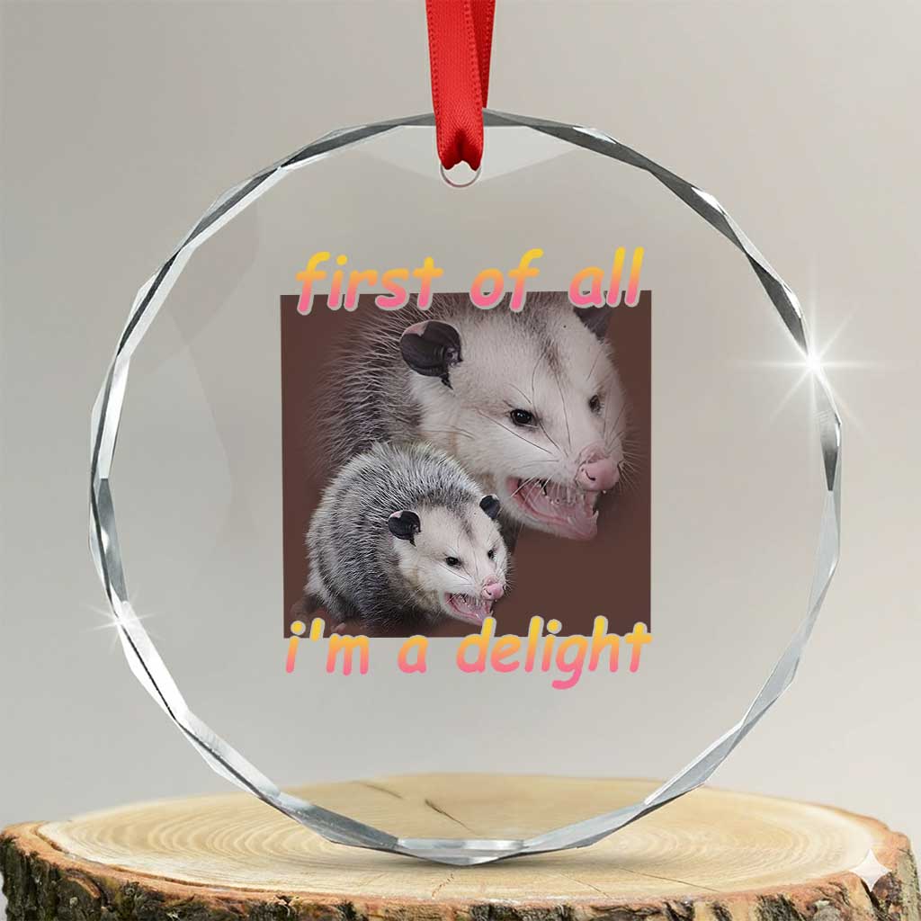 Funny Opossum Crystal Glass Ornament First Of All I'm A Delight TS02