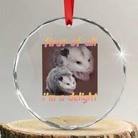 Funny Opossum Crystal Glass Ornament First Of All I'm A Delight TS02