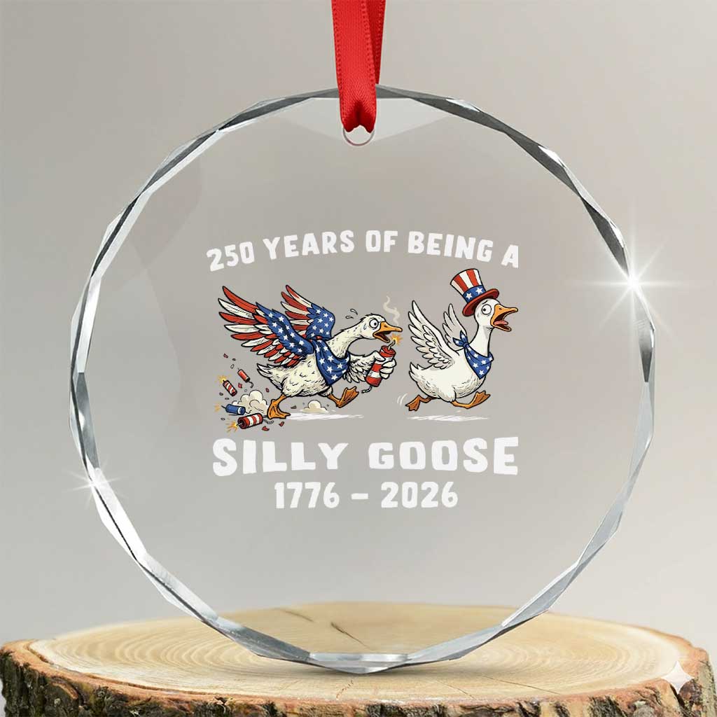 Funny Patriotic Goose Crystal Glass Ornament 250 Years Of Being A Silly Goose