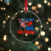 Funny Patriotic Raccoon Crystal Glass Ornament Red White And Feral 250 Years