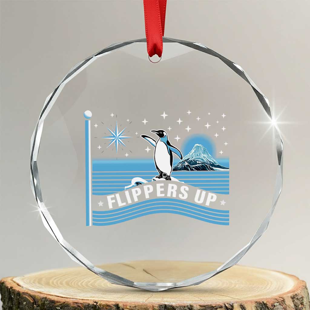 Funny Penguin Resist Crystal Glass Ornament Heard Island Flippers Up I Stand With Penguins - Wonder Print Shop