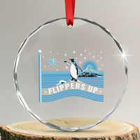 Funny Penguin Resist Crystal Glass Ornament Heard Island Flippers Up I Stand With Penguins - Wonder Print Shop