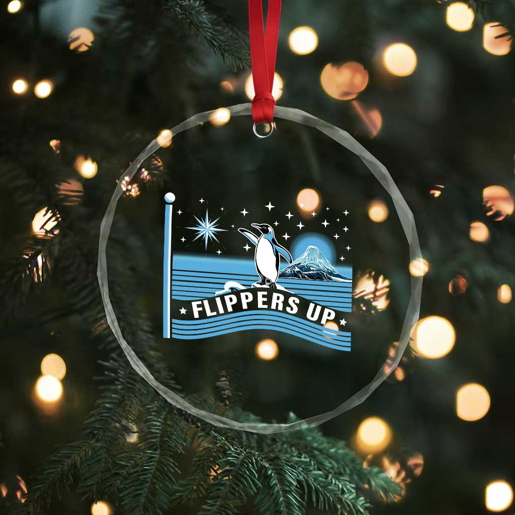 Funny Penguin Resist Crystal Glass Ornament Heard Island Flippers Up I Stand With Penguins - Wonder Print Shop