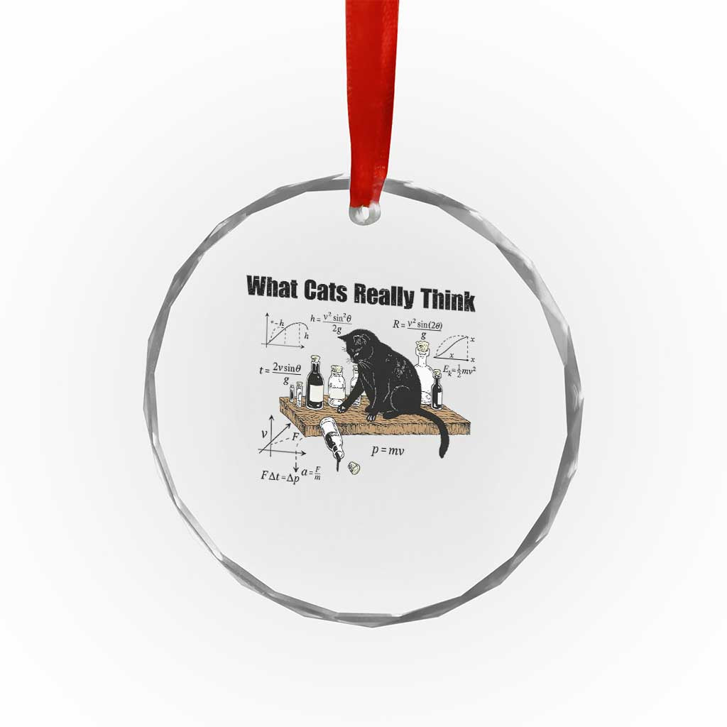 Funny Physics Cat Meme Crystal Glass Ornament What Cats Really Think