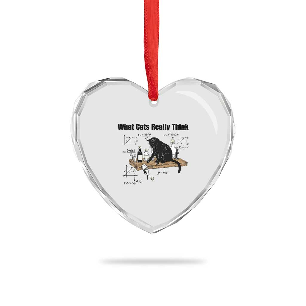 Funny Physics Cat Meme Heart Crystal Glass Ornament What Cats Really Think