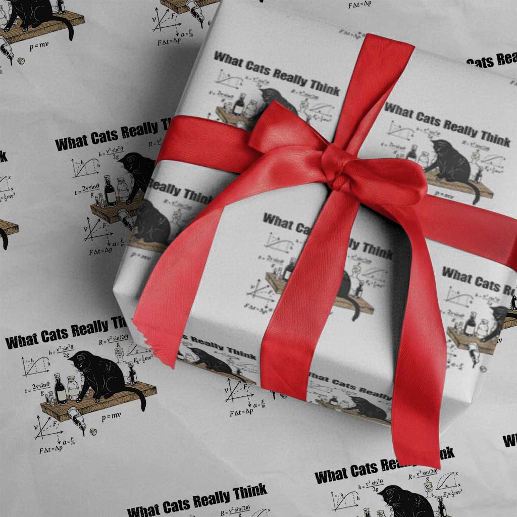 Funny Physics Cat Meme Wrapping Paper Roll What Cats Really Think