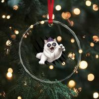 Funny Princess Cat With Featuring Scratch Effect Printed Crystal Glass Ornament This Is An Outrage