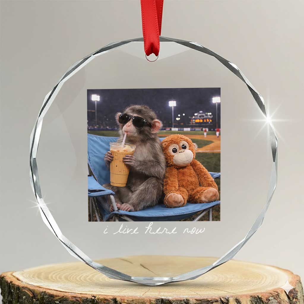Funny Punch Monkey Baseball Crystal Glass Ornament I Live Here Now Ballpark Graphic