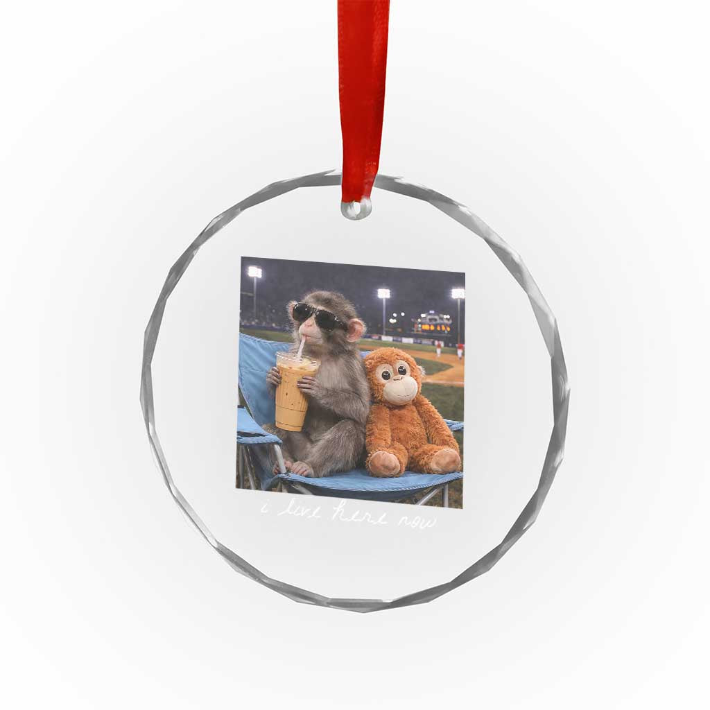 Funny Punch Monkey Baseball Crystal Glass Ornament I Live Here Now Ballpark Graphic