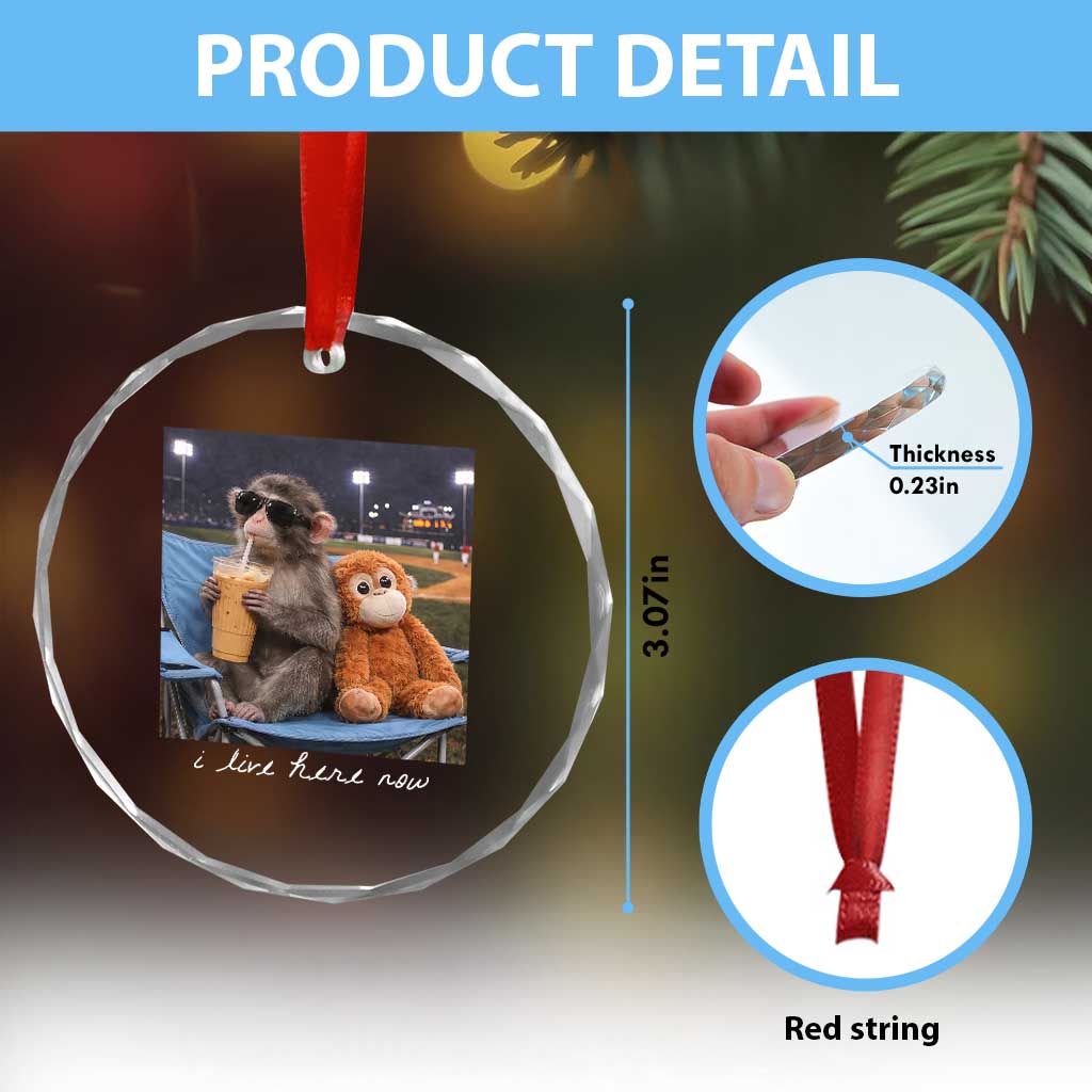 Funny Punch Monkey Baseball Crystal Glass Ornament I Live Here Now Ballpark Graphic