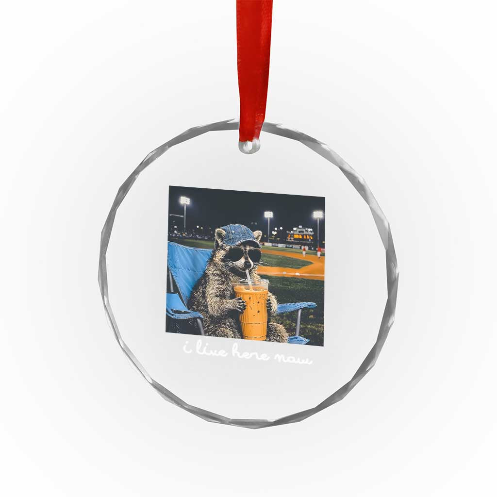 Funny Raccoon Baseball Game Day Meme Crystal Glass Ornament I Live Here Now Trash Panda Iced Coffee Night