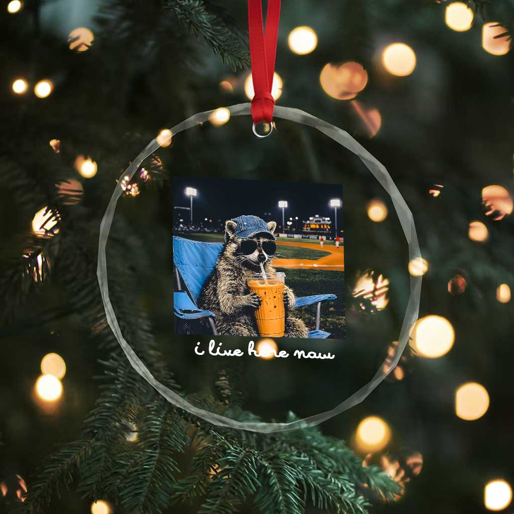 Funny Raccoon Baseball Game Day Meme Crystal Glass Ornament I Live Here Now Trash Panda Iced Coffee Night