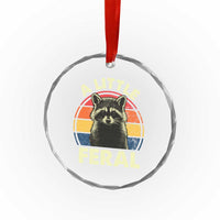 Funny Raccoon Crystal Glass Ornament A Little Feral Trash Panda Meme Retro TS02