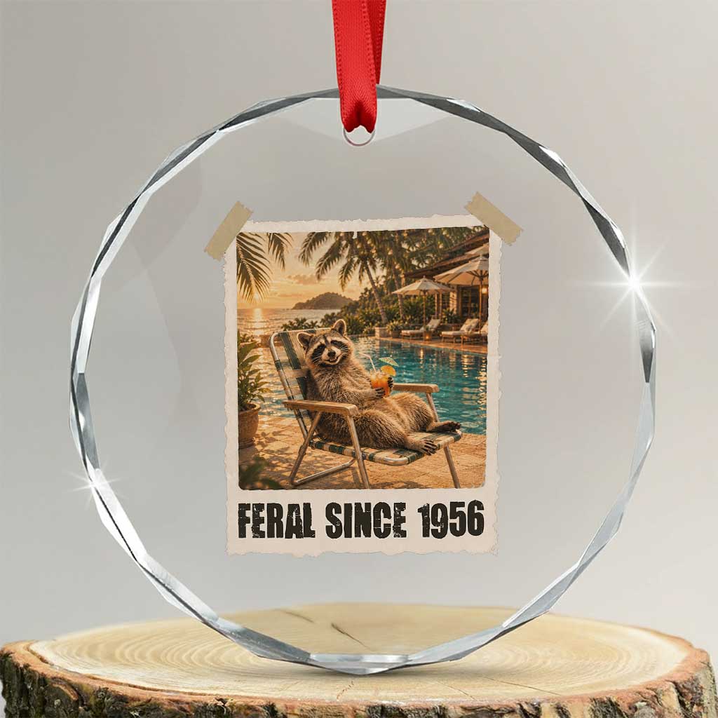 Funny Raccoon Feral Since 1956 70th Birthday Crystal Glass Ornament Vintage 70 Year Old Gift