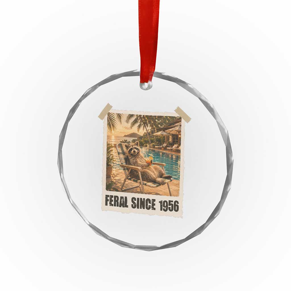 Funny Raccoon Feral Since 1956 70th Birthday Crystal Glass Ornament Vintage 70 Year Old Gift