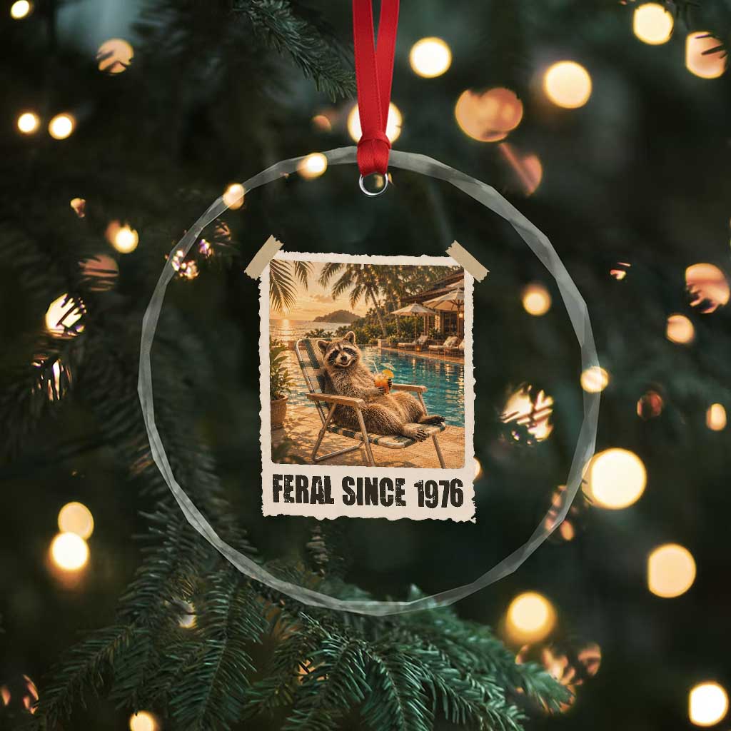 Funny Raccoon Feral Since 1976 50th Birthday Crystal Glass Ornament Vintage 50 Year Old Gift