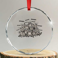 Funny Raccoon Grandpa Crystal Glass Ornament Chaos Coordinator Grandpa Life Graphic