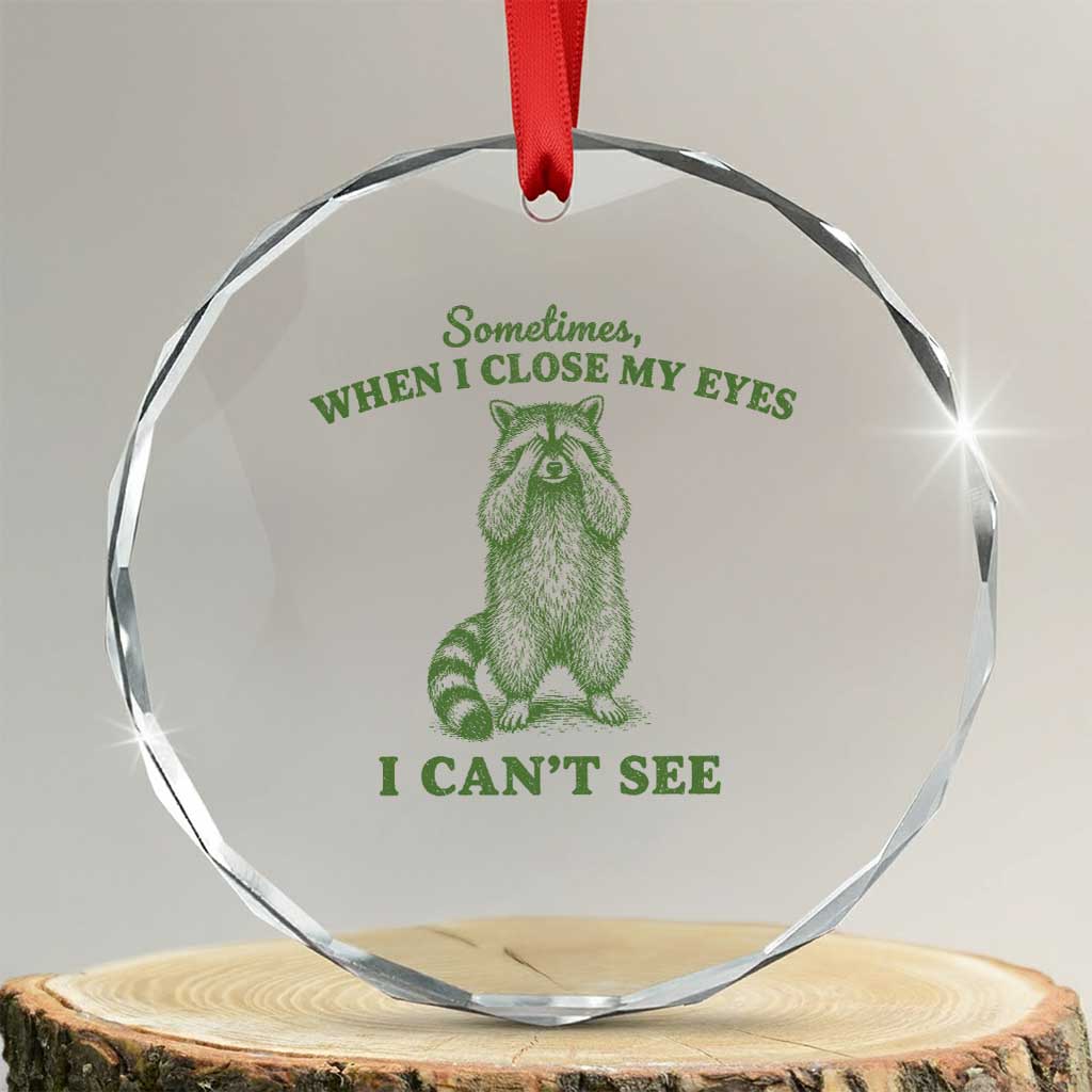 Funny Raccoon Meme Crystal Glass Ornament Sometimes When I Close My Eyes I Cant See Vintage Trash Panda
