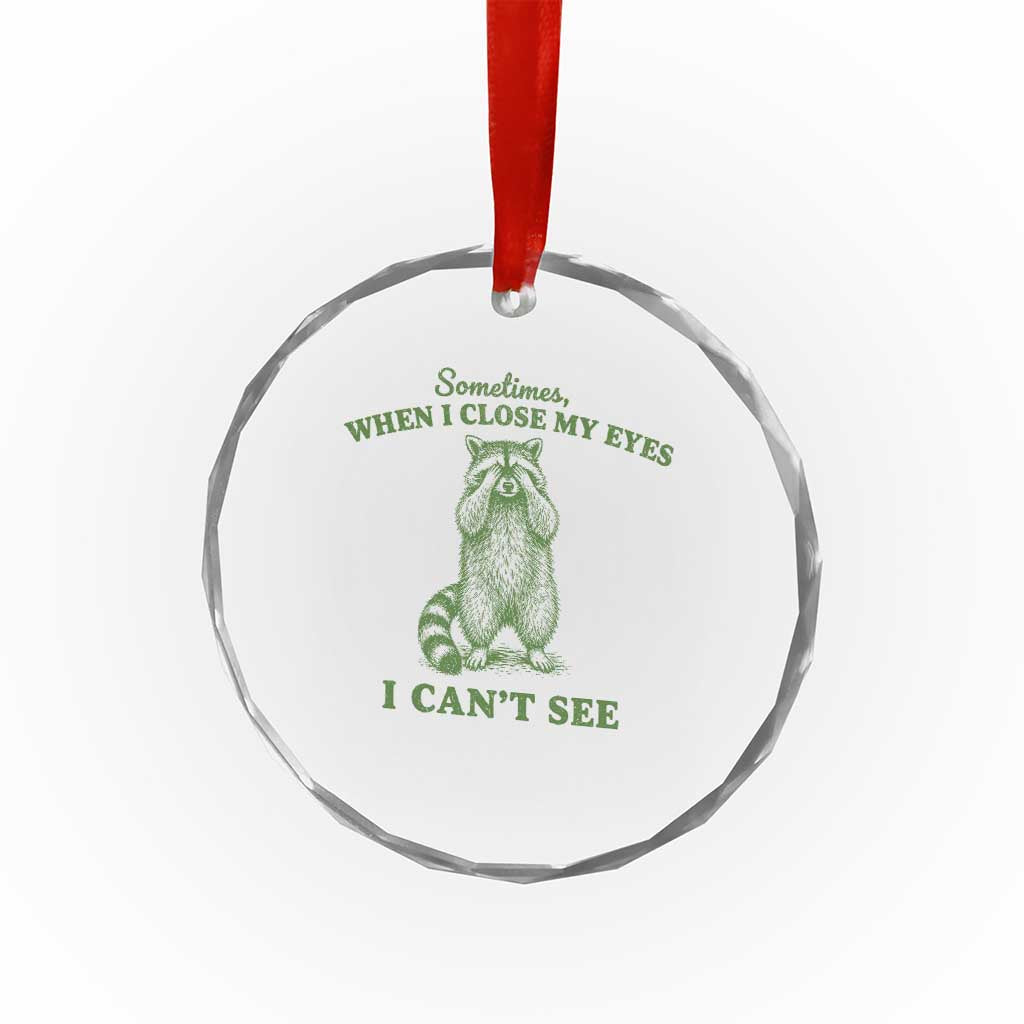 Funny Raccoon Meme Crystal Glass Ornament Sometimes When I Close My Eyes I Cant See Vintage Trash Panda