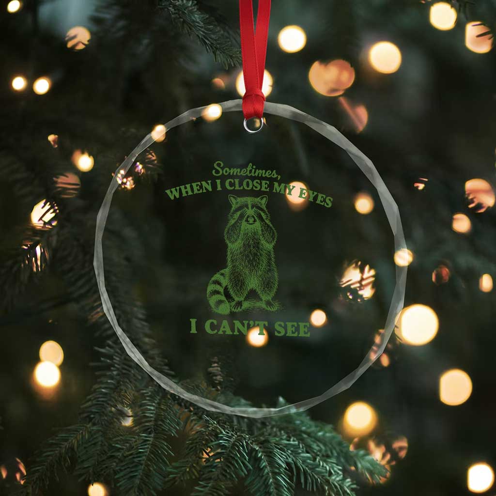 Funny Raccoon Meme Crystal Glass Ornament Sometimes When I Close My Eyes I Cant See Vintage Trash Panda