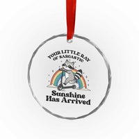 Funny Raccoon Rainbow Crystal Glass Ornament Your Little Ray Of Sarcastic Sunshine Has Arrived - Wonder Print Shop