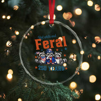Funny Raccoon Red White And Feral America 250 Crystal Glass Ornament