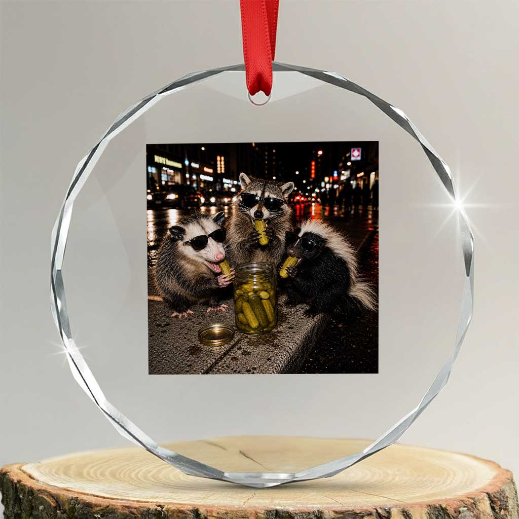 Funny Raccoon Skunk Possum Eating Pickles Crystal Glass Ornament Support Local Street Cats Retro Animal Meme
