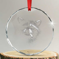 Funny Raccoon Smoking Cigarette Meme Crystal Glass Ornament Trash Panda Face Y2K Graphic
