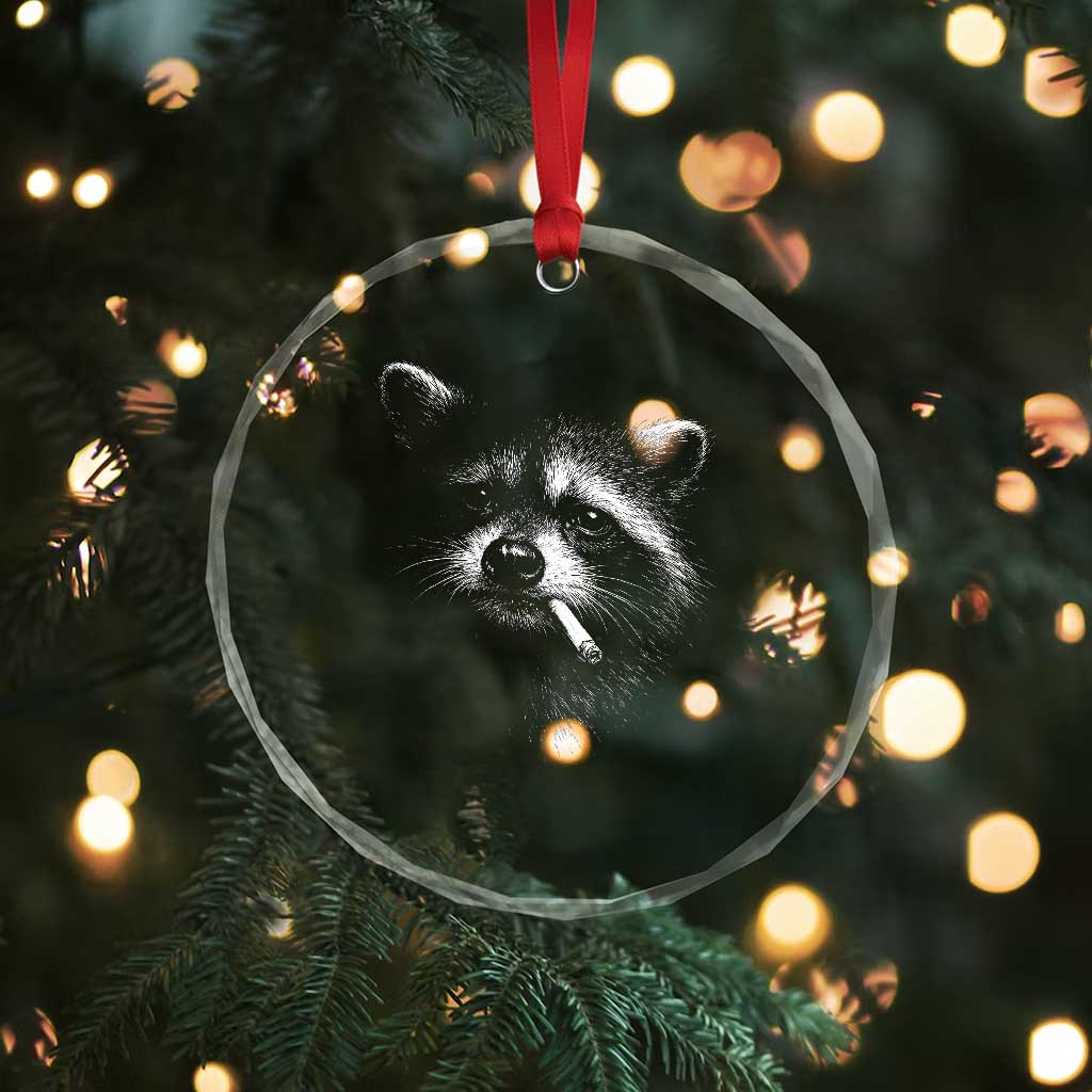 Funny Raccoon Smoking Cigarette Meme Crystal Glass Ornament Trash Panda Face Y2K Graphic