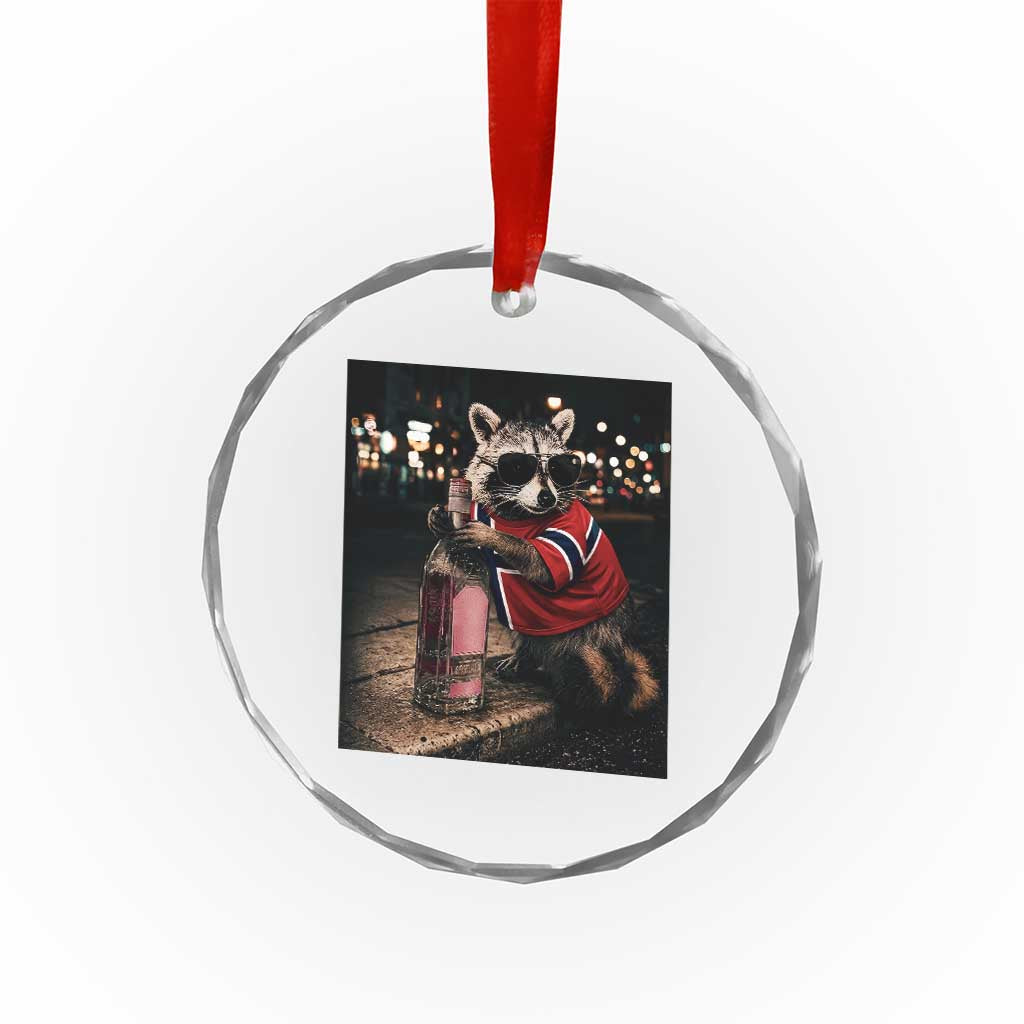 Funny Raccoon Whiskey Sunglasses Norwegian Flag Crystal Glass Ornament Viral Trash Panda Football Texas Souvenir Meme