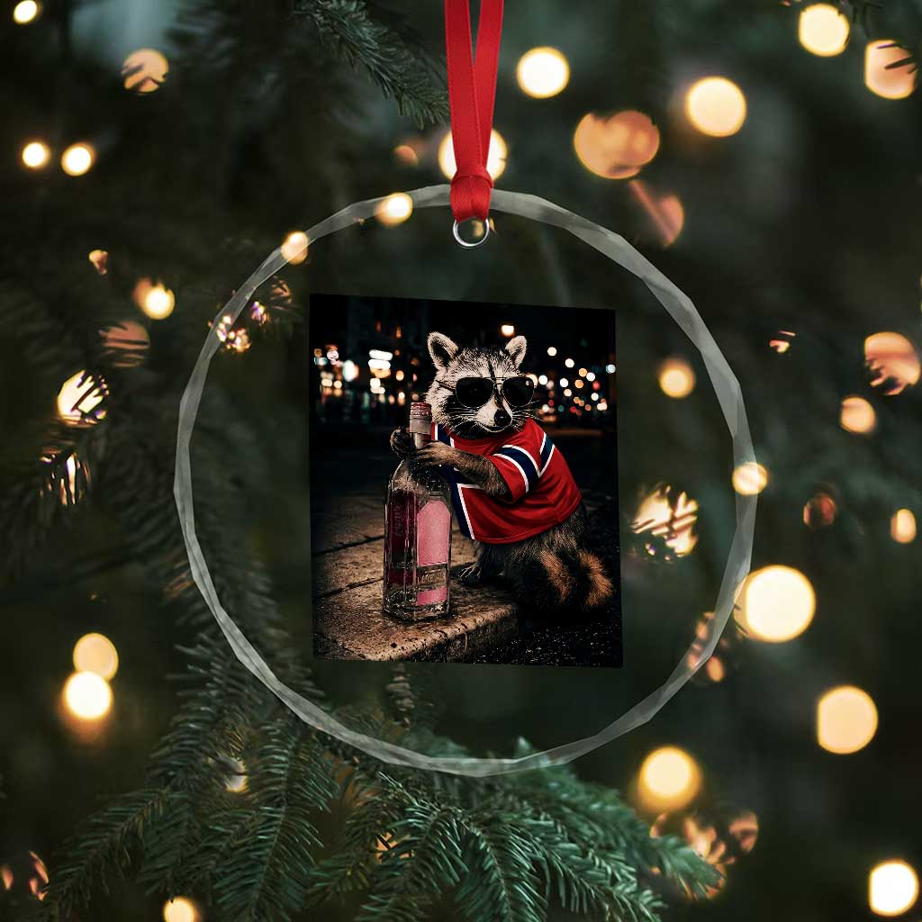 Funny Raccoon Whiskey Sunglasses Norwegian Flag Crystal Glass Ornament Viral Trash Panda Football Texas Souvenir Meme