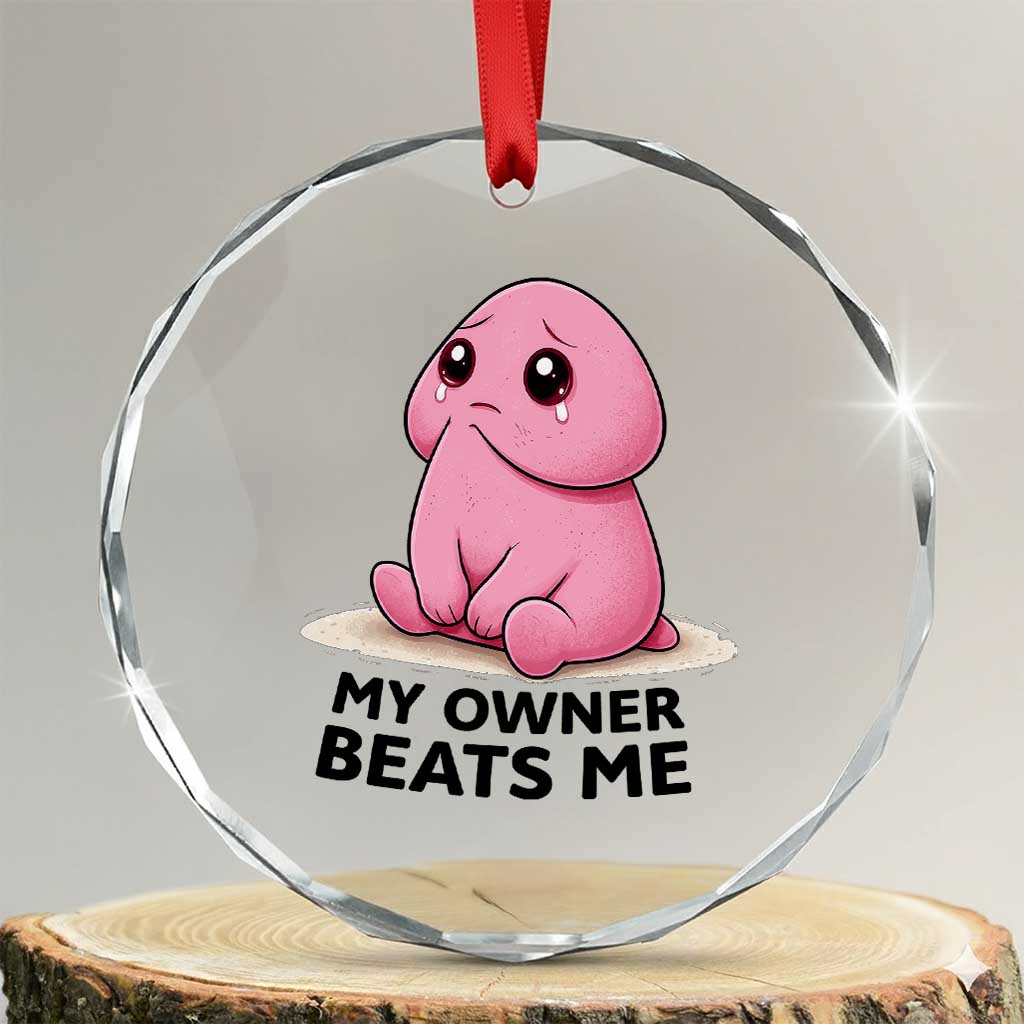 Funny Raunchy Meme My Owner Beats Me Crystal Glass Ornament Sarcastic Adult Gag Gift