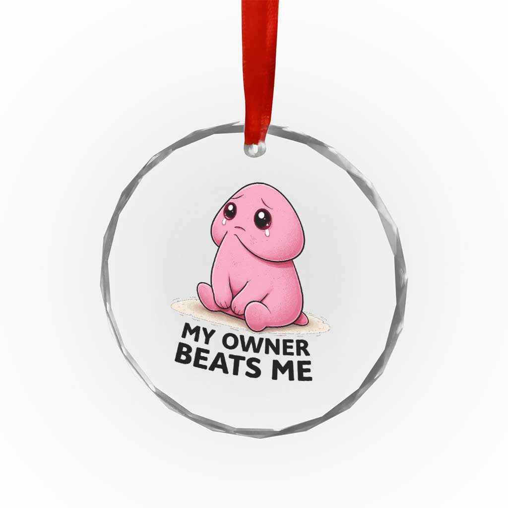 Funny Raunchy Meme My Owner Beats Me Crystal Glass Ornament Sarcastic Adult Gag Gift