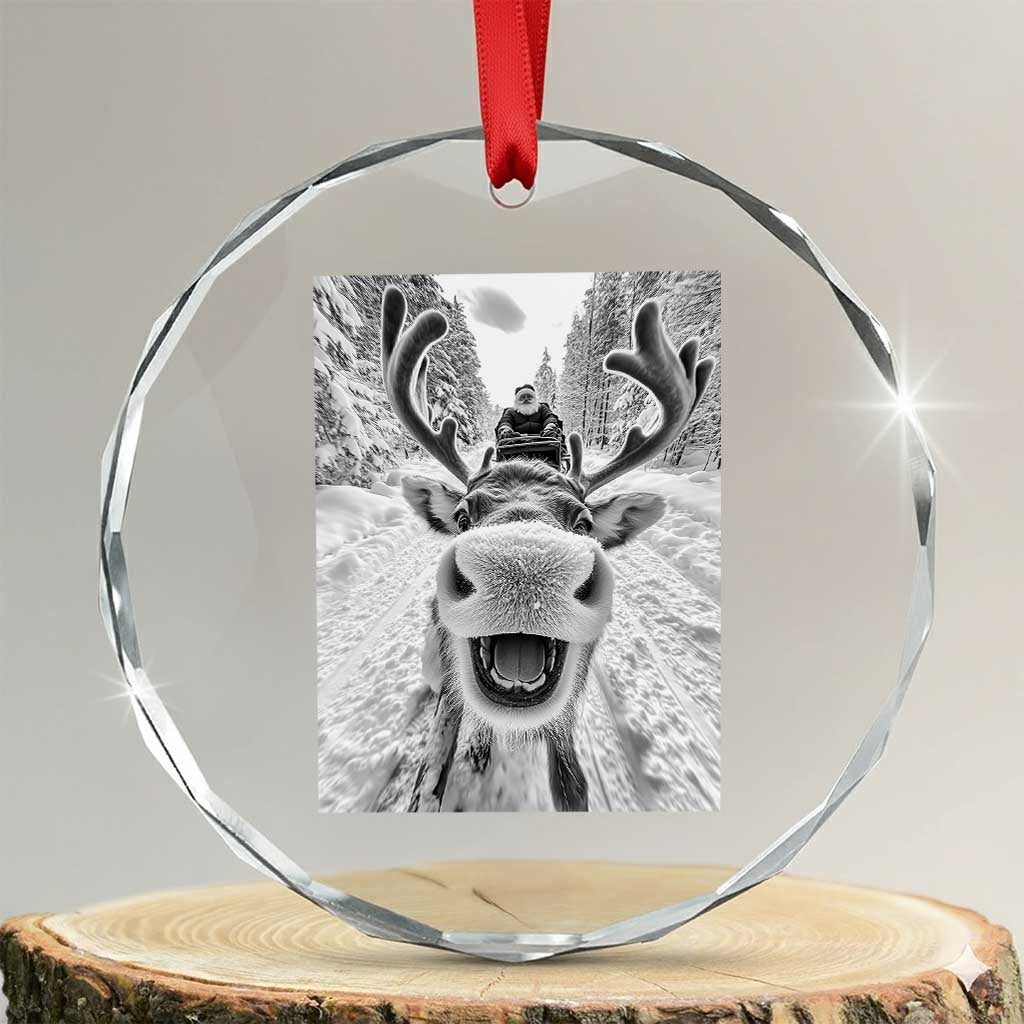 Funny Reindeer Selfie Crystal Glass Ornament TS10